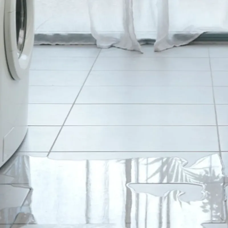 Appliance Leak Cleanup in Wilderness Rim, WA