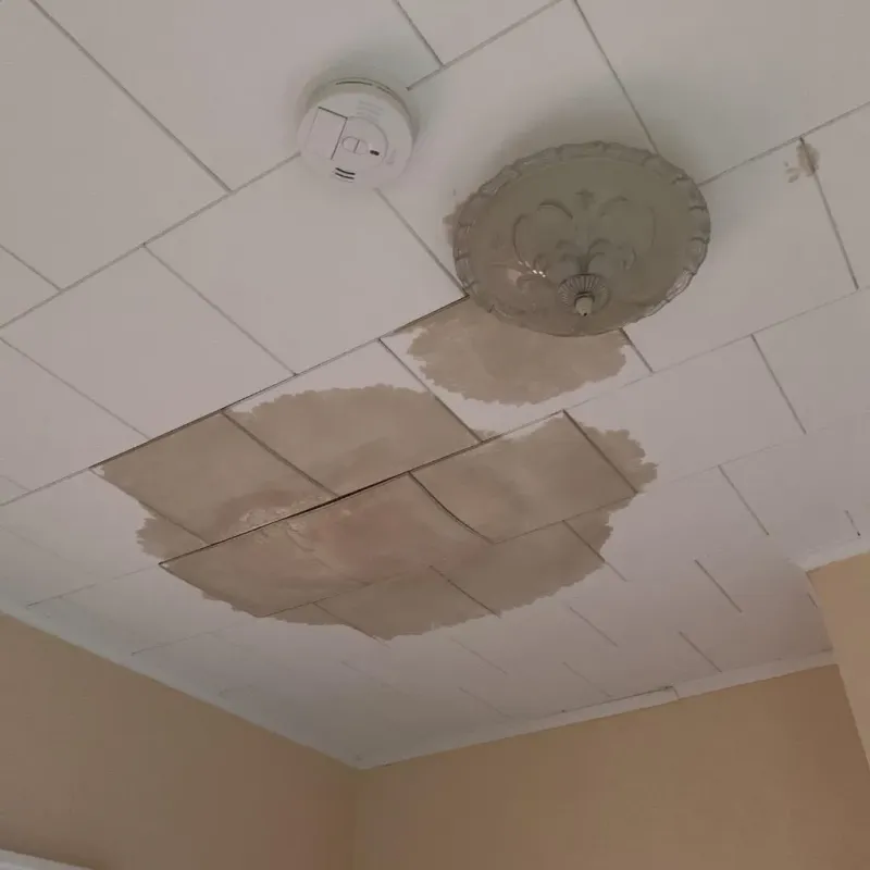 Ceiling Water Damage Repair in Wilderness Rim, WA