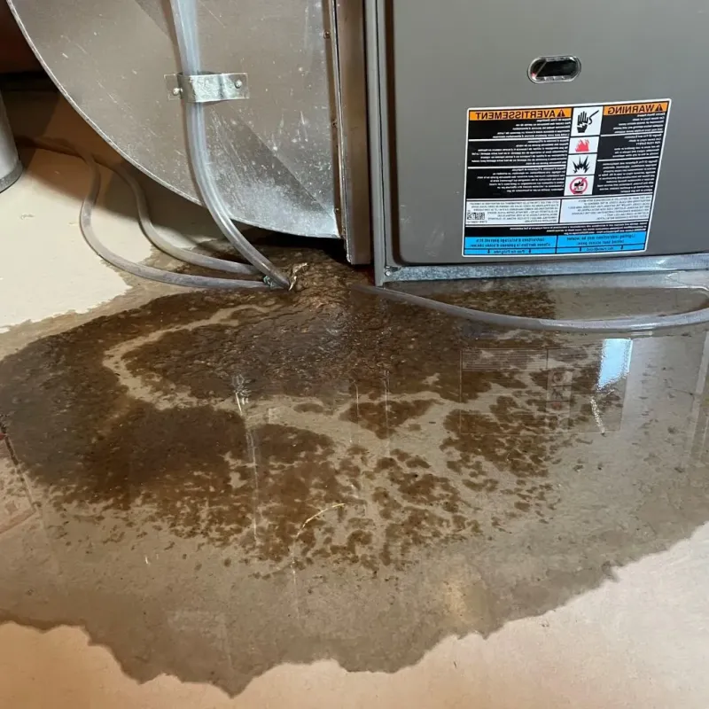 Pipe Burst and Leak Restoration in Wilderness Rim, WA